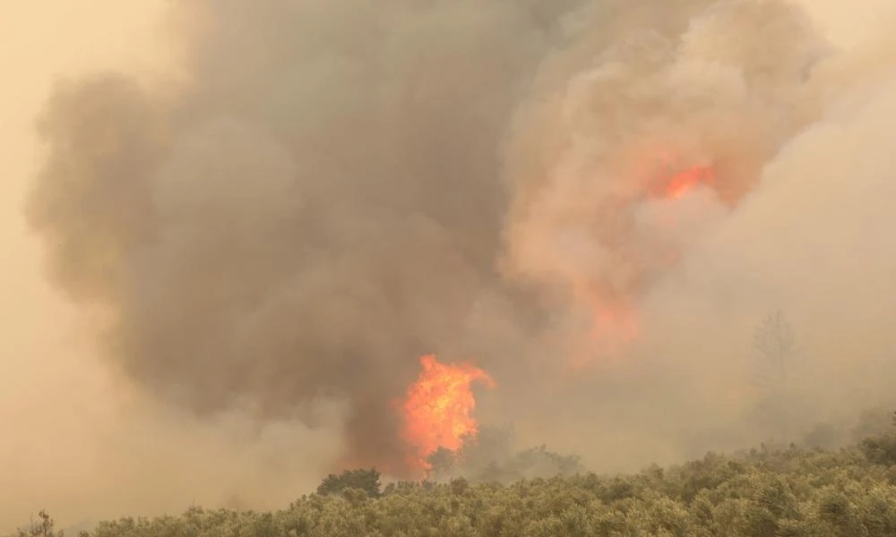 Φωτιά ξέσπασε στην Πεύκη Ηλείας